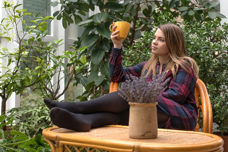 Czym jest ogród zimowy?